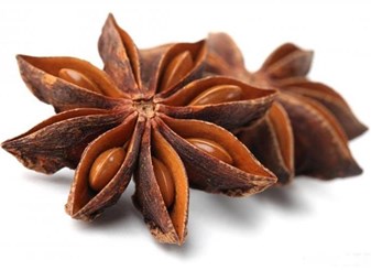 خواص بادیان رومی