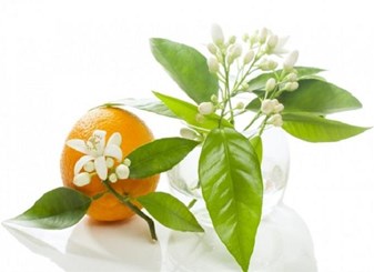 خواص بهار نارنج