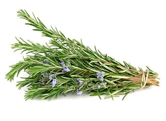 خواص اکلیل کوهی