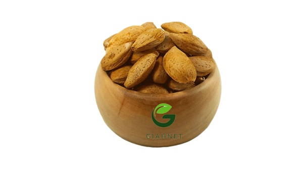 بادام سنگی
