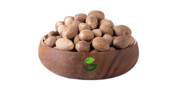 جوز هندی