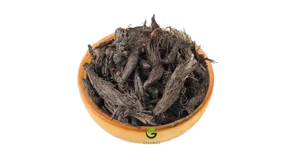 سنبل طیب