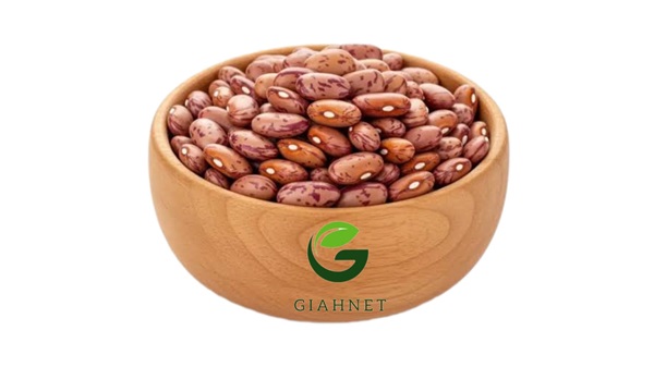 لوبیا چیتی
