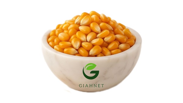 خواص ذرت