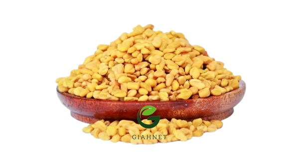 خواص تخم شنبلیله
