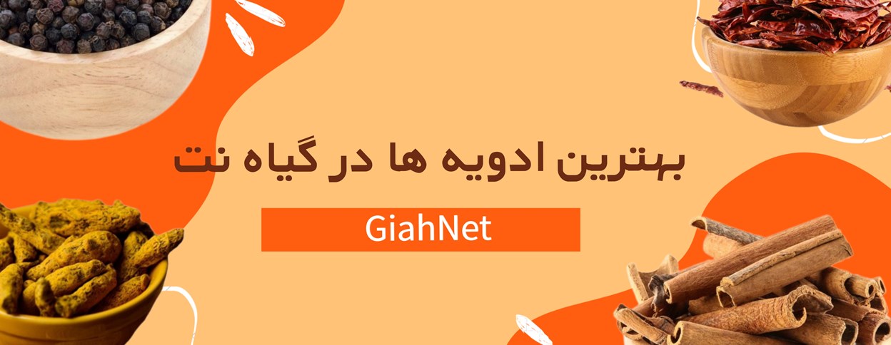 slide-image-undefined